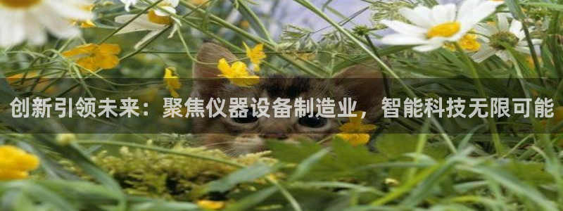 乌鲁木齐欧乐星城娱乐：创新引领未来：聚焦仪器设备制造业，智能