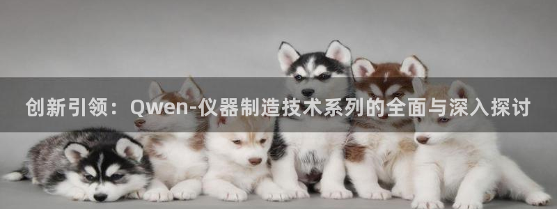 星欧娱乐招商81338：创新引领：Qwen-仪器制造技术系列