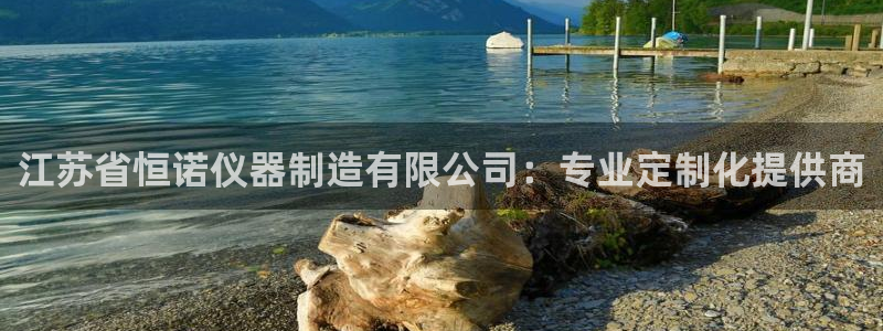 星欧娱乐平台官网入口：江苏省恒诺仪器制造有限公司：专业定制化