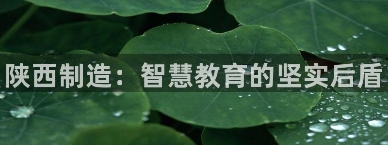 星欧娱乐官网：陕西制造：智慧教育的坚实后盾