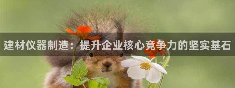 星欧娱乐官网在线登录：建材仪器制造：提升企业核心竞争力的坚实