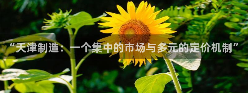 星欧娱乐官网在线登录入口：“天津制造：一个集中的市场与多元的