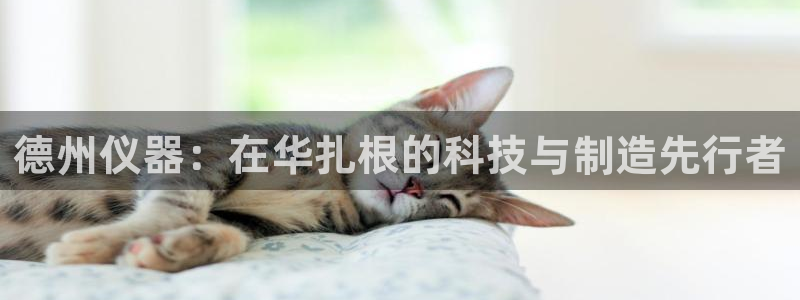 注册星欧娱乐需要多少钱：德州仪器：在华扎根的科技与制造先行者