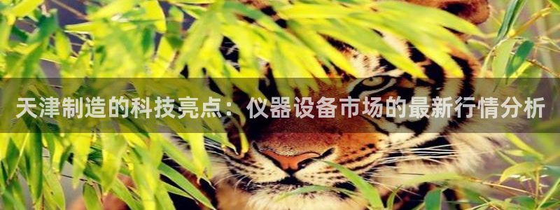 星欧娱乐主管：天津制造的科技亮点：仪器设备市场的最新行情分析