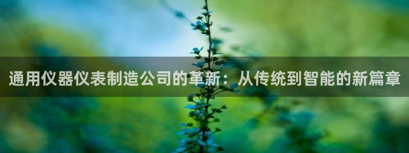 星欧娱乐最新消息今天：通用仪器仪表制造公司的革新：从传统到智
