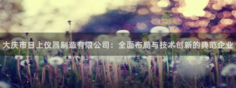 星欧娱乐主管：大庆市日上仪器制造有限公司：全面布局与技术创新