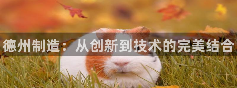 星欧娱乐围7O777：德州制造：从创新到技术的完美结合