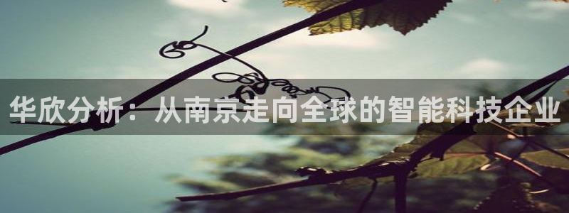 武汉欧汇星娱乐城：华欣分析：从南京走向全球的智能科技企业