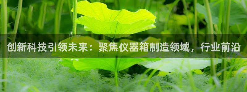 星欧娱乐官方客服：创新科技引领未来：聚焦仪器箱制造领域，行业