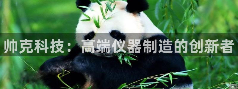 星欧娱乐公司：帅克科技：高端仪器制造的创新者