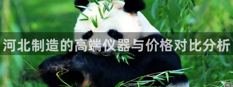 欧星在线娱乐下载安装：河北制造的高端仪器与价格对比分析