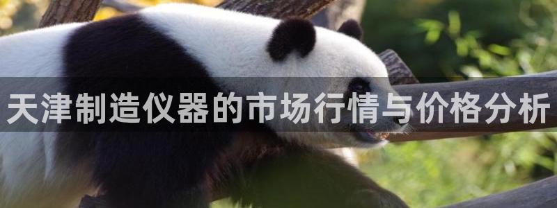 星欧娱乐最新版下载链接：天津制造仪器的市场行情与价格分析