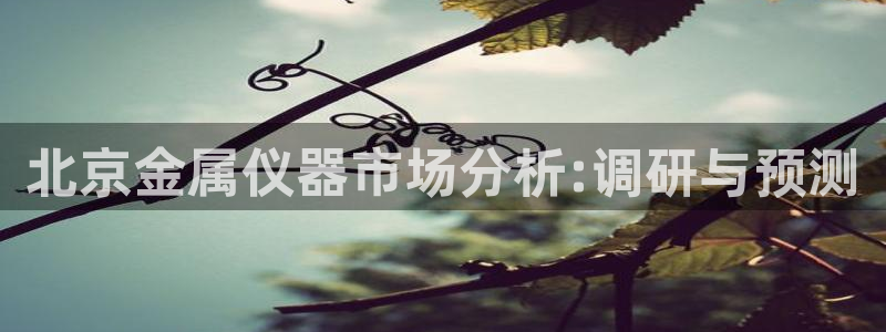 星欧娱乐登录后怎么登录：北京金属仪器市场分析:调研与预测