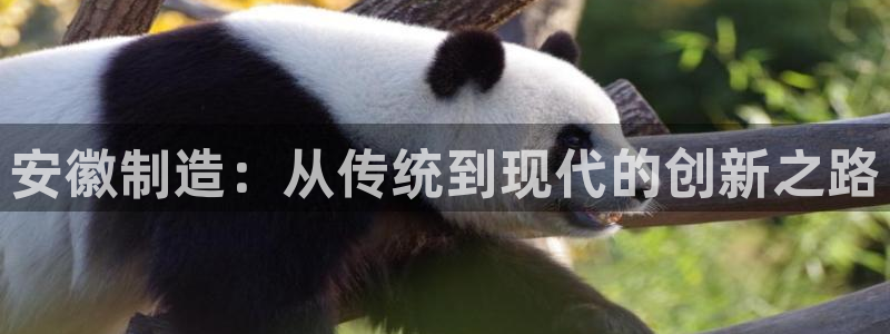 欧星娱乐彩票：安徽制造：从传统到现代的创新之路