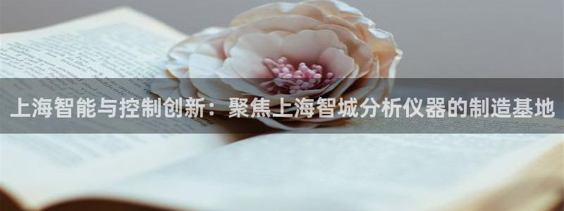 欧乐星城团购娱乐：上海智能与控制创新：聚焦上海智城分析仪器的