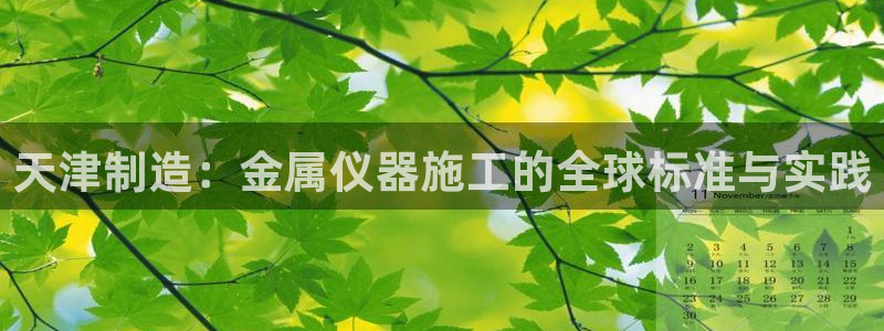 欧星娱乐网络娱乐：天津制造：金属仪器施工的全球标准与实践