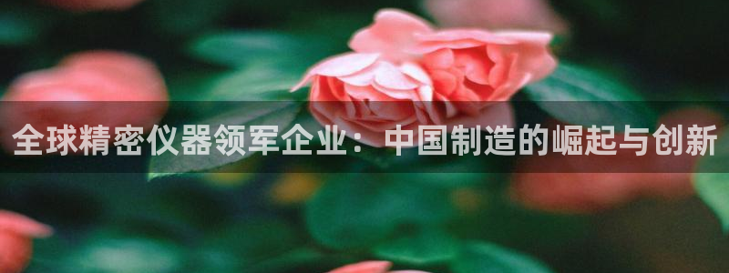 星欧娱乐围7O777：全球精密仪器领军企业：中国制造的崛起与