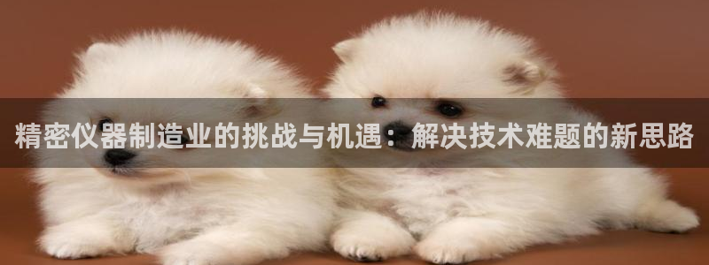 星欧娱乐最新动态消息：精密仪器制造业的挑战与机遇：解决技术难
