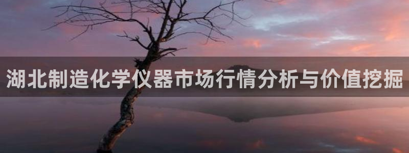 星欧娱乐官网在线登录入口：湖北制造化学仪器市场行情分析与价值