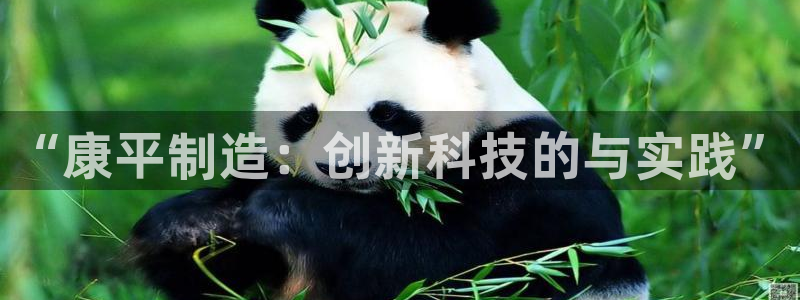 欧星娱乐备用网址：“康平制造：创新科技的与实践”