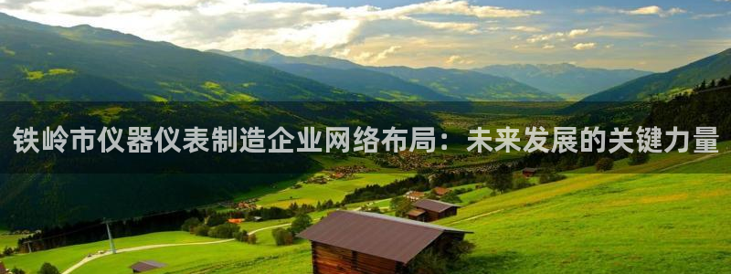 欧乐星城有没有娱乐设施：铁岭市仪器仪表制造企业网络布局：未来