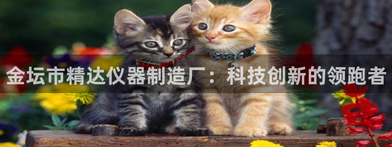 星辉娱乐进入欧联杯了吗：金坛市精达仪器制造厂：科技创新的领跑