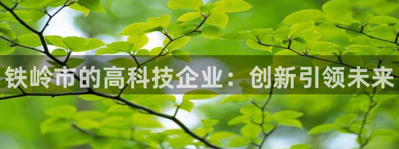 星欧娱乐掌7O777：铁岭市的高科技企业：创新引领未来