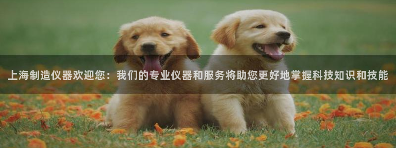 星欧娱乐平台app下载：上海制造仪器欢迎您：我们的专业仪器和