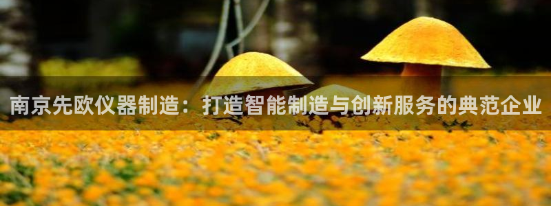 欧乐星城团购娱乐怎么样：南京先欧仪器制造：打造智能制造与创新