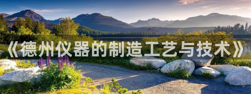 欧星娱乐：《德州仪器的制造工艺与技术》