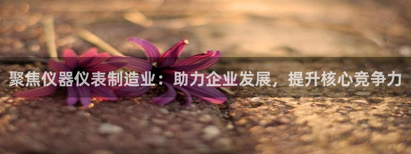 星欧娱乐平台主管：聚焦仪器仪表制造业：助力企业发展，提升核心