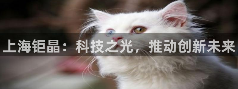 星欧娱乐联客服联系方式：上海钜晶：科技之光，推动创新未来