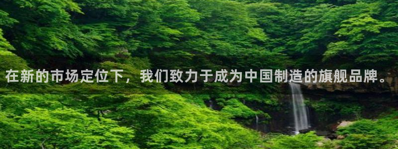 星欧娱乐平台是否靠谱：在新的市场定位下，我们致力于成为中国制