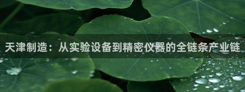 欧乐星城好玩的娱乐场所：天津制造：从实验设备到精密仪器的全链