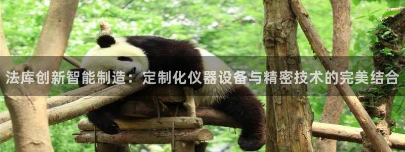 星欧娱乐挂机：法库创新智能制造：定制化仪器设备与精密技术的完