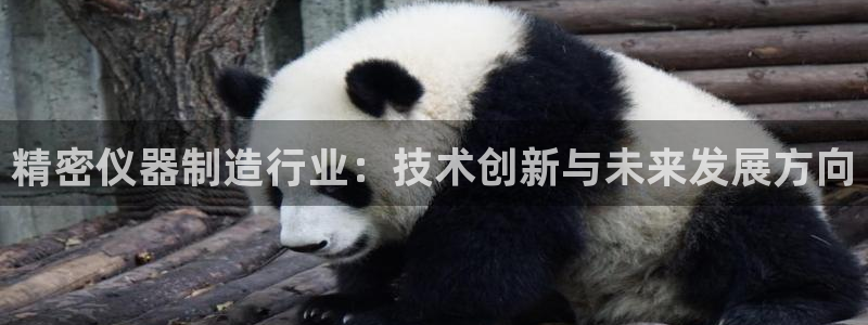 星欧娱乐开户：精密仪器制造行业：技术创新与未来发展方向