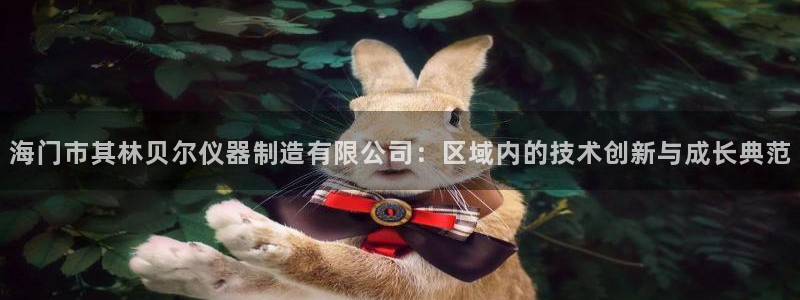长沙星欧娱乐：海门市其林贝尔仪器制造有限公司：区域内的技术创