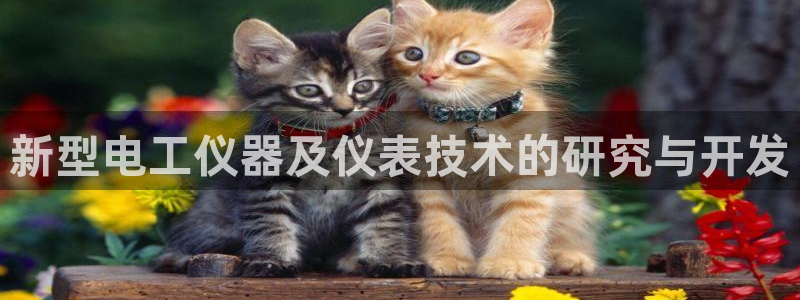 星欧娱乐平台登录：新型电工仪器及仪表技术的研究与开发
