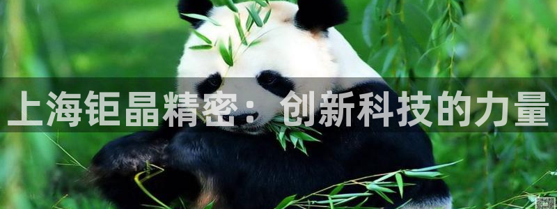 星欧娱乐招商：上海钜晶精密：创新科技的力量