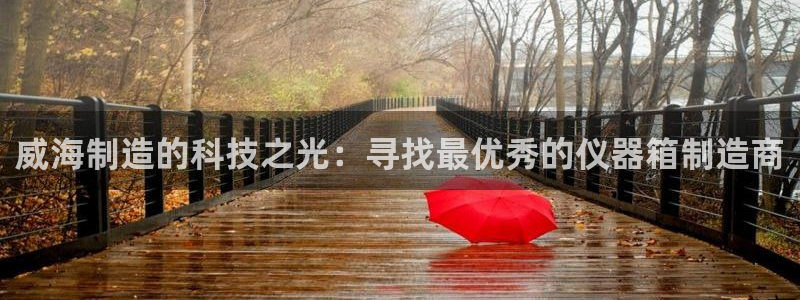 艾欧尼亚三星娱乐赛：威海制造的科技之光：寻找最优秀的仪器箱制