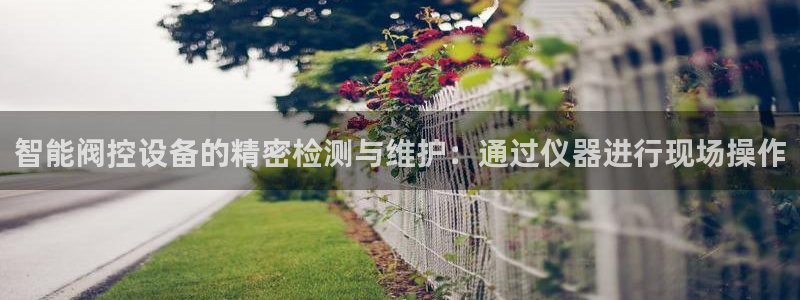 星欧娱乐赞7O777：智能阀控设备的精密检测与维护：通过仪器