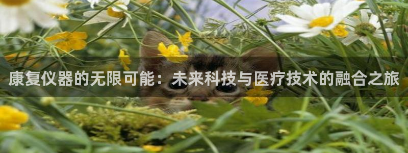 欧星老虎机娱乐：康复仪器的无限可能：未来科技与医疗技术的融合