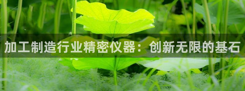 欧赫娱乐 超级星学院：加工制造行业精密仪器：创新无限的基石