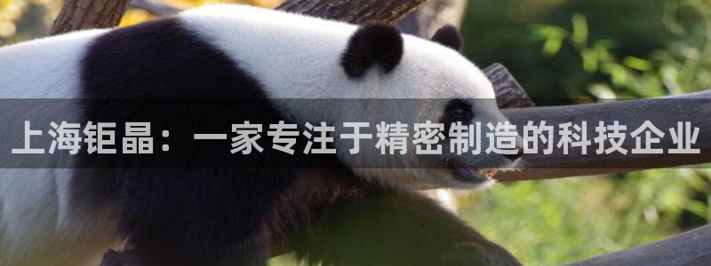 星欧娱乐最建议买吗：上海钜晶：一家专注于精密制造的科技企业