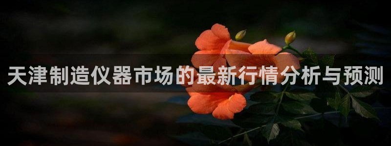 星欧娱乐最新状况：天津制造仪器市场的最新行情分析与预测