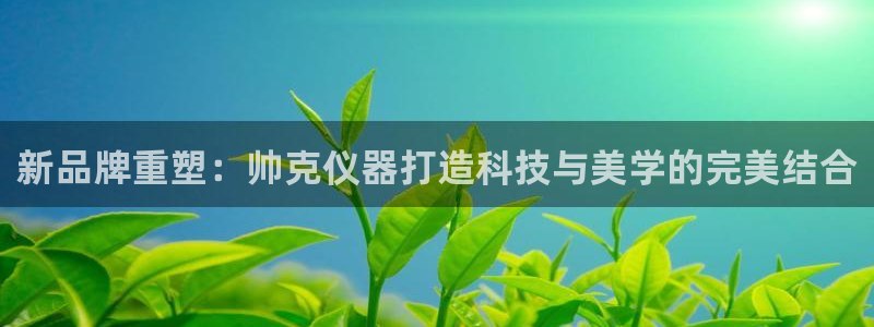 星欧娱乐咋7O777：新品牌重塑：帅克仪器打造科技与美学的完
