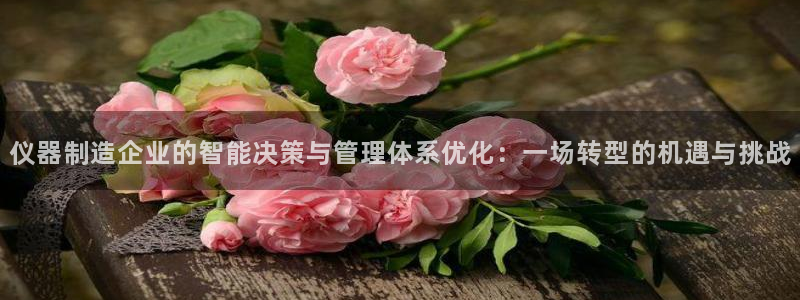 星欧娱乐法最新进展：仪器制造企业的智能决策与管理体系优化：一