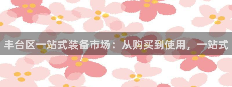 星欧娱乐现在叫什么：丰台区一站式装备市场：从购买到使用，一站